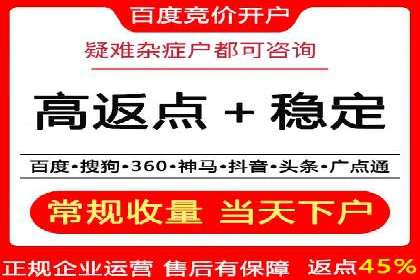 SEM托管服务案例：优化策略与效果展示